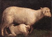 BASSANO, Jacopo Sheep and Lamb dghj oil on canvas